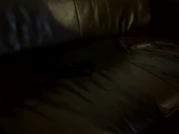 tall_shy_kitty