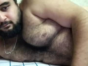 _alan_bear_