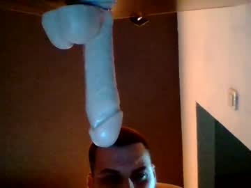damicompanysrl