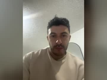 daviid_owl