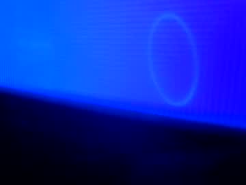 fiorella_crocetti