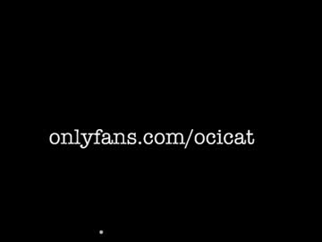 ocicat