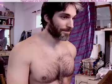 osito_blanco