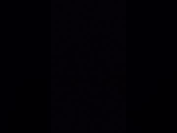 salduolis11