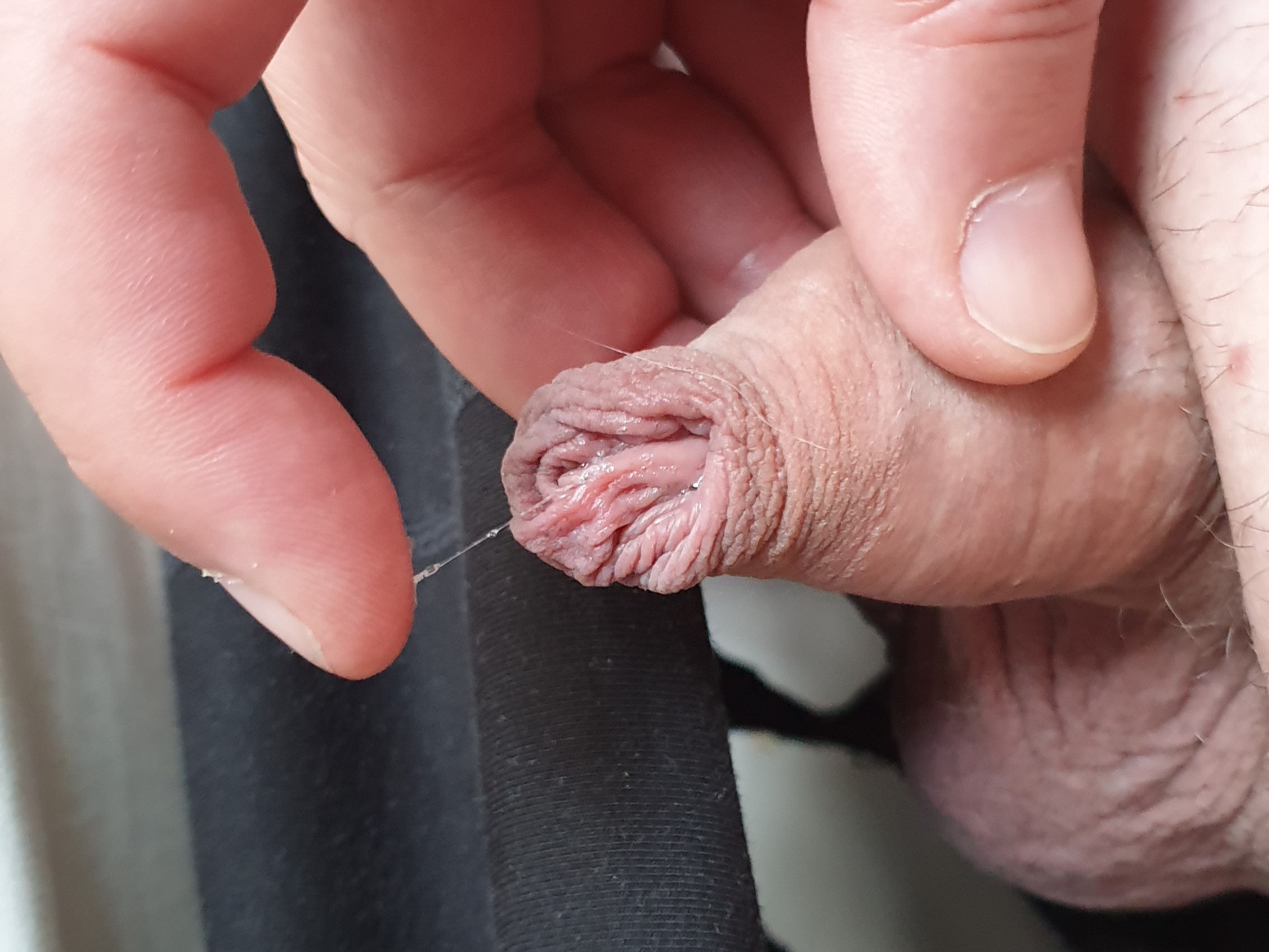 My small uncut cock — 11