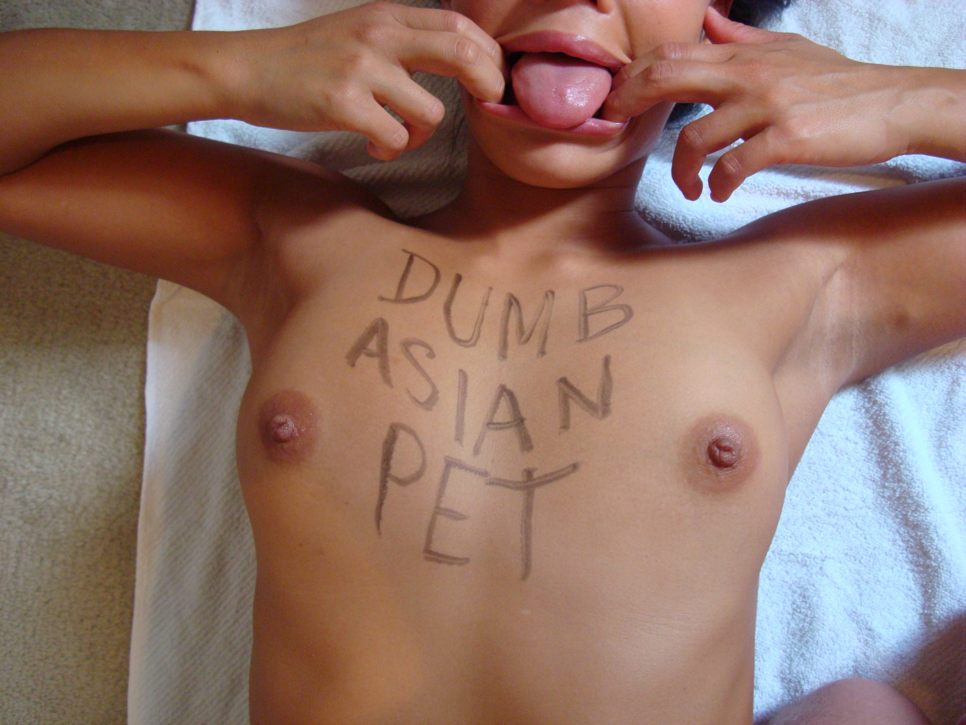 Asian Pet — 23