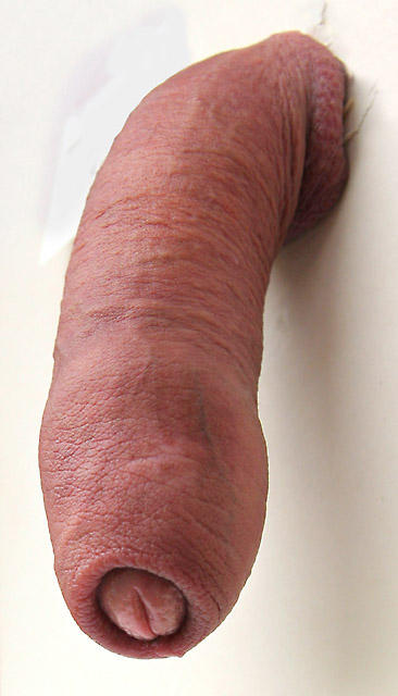 I Luv uncut cock — 6